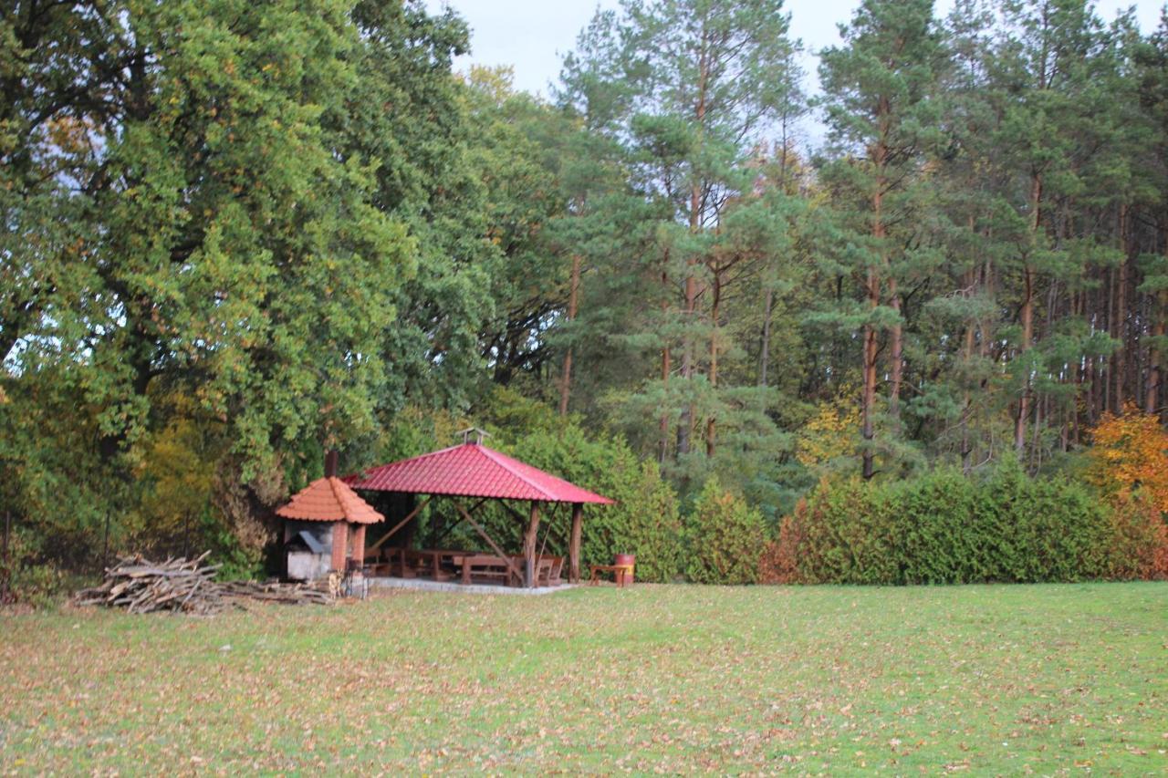 Gospodarstwo Agroturystyczne Agroletnica Świdnica Zewnętrze zdjęcie