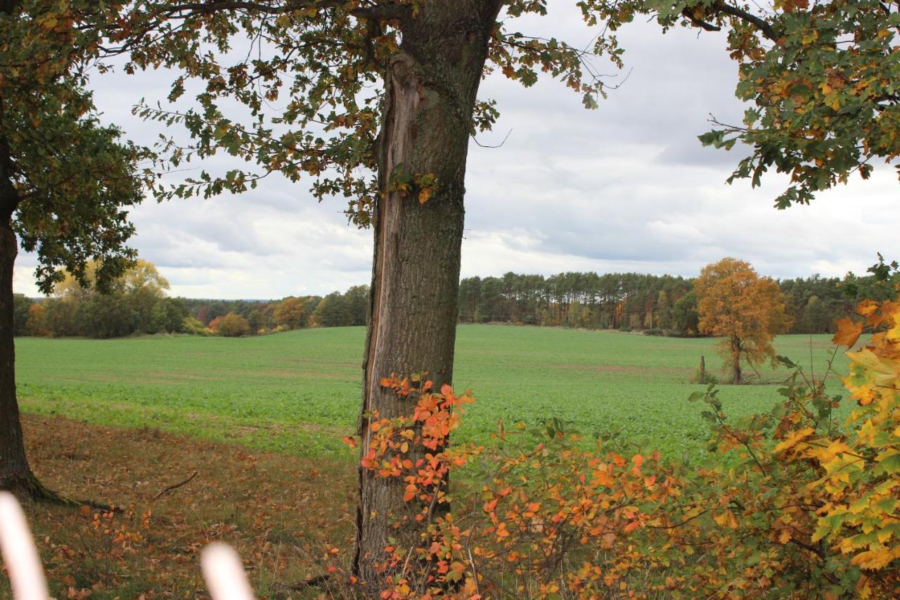 Gospodarstwo Agroturystyczne Agroletnica Świdnica Zewnętrze zdjęcie