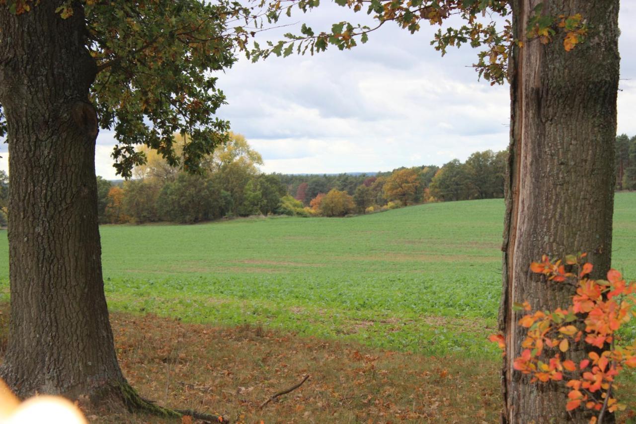 Gospodarstwo Agroturystyczne Agroletnica Świdnica Zewnętrze zdjęcie