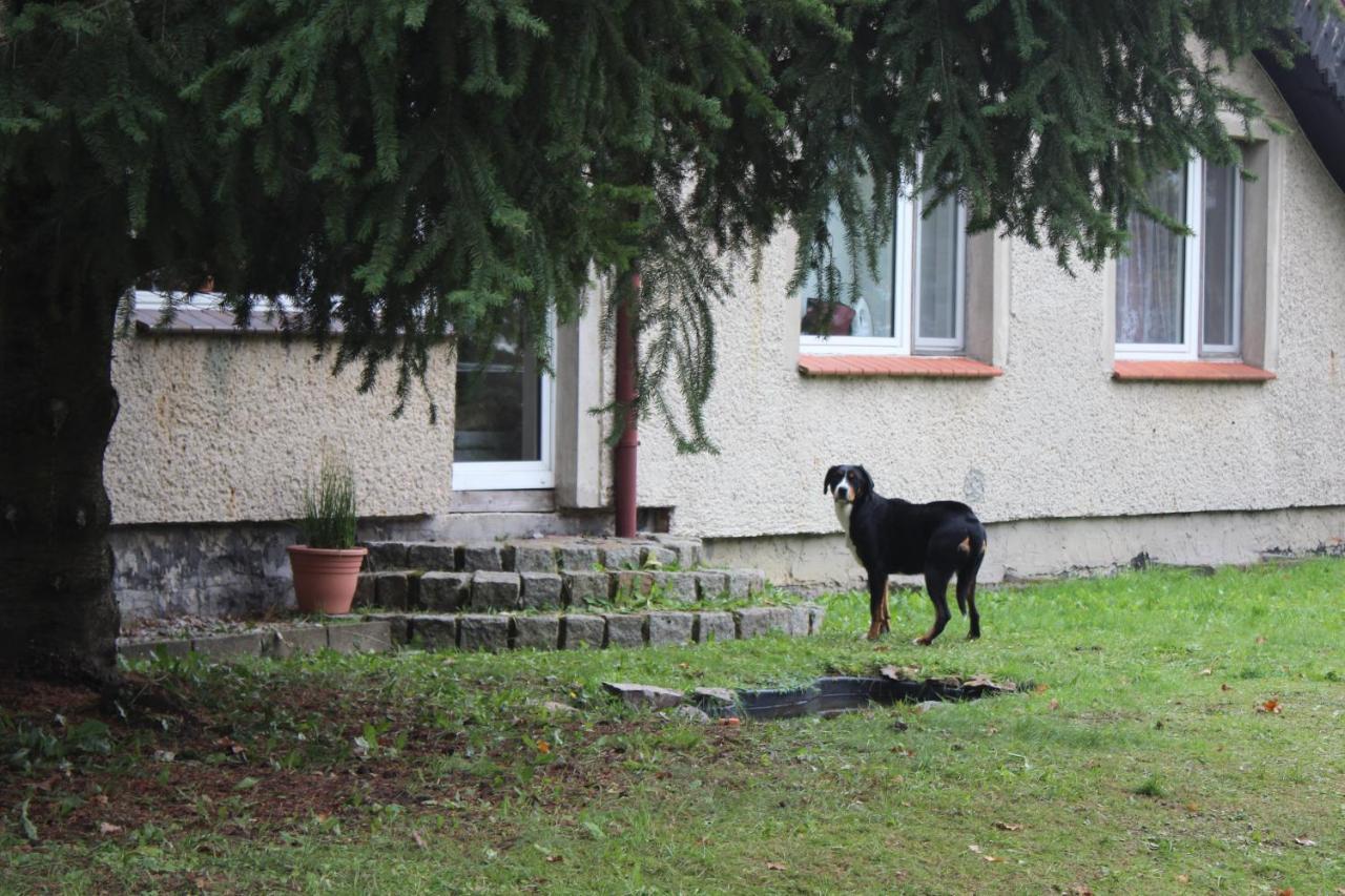 Gospodarstwo Agroturystyczne Agroletnica Świdnica Zewnętrze zdjęcie