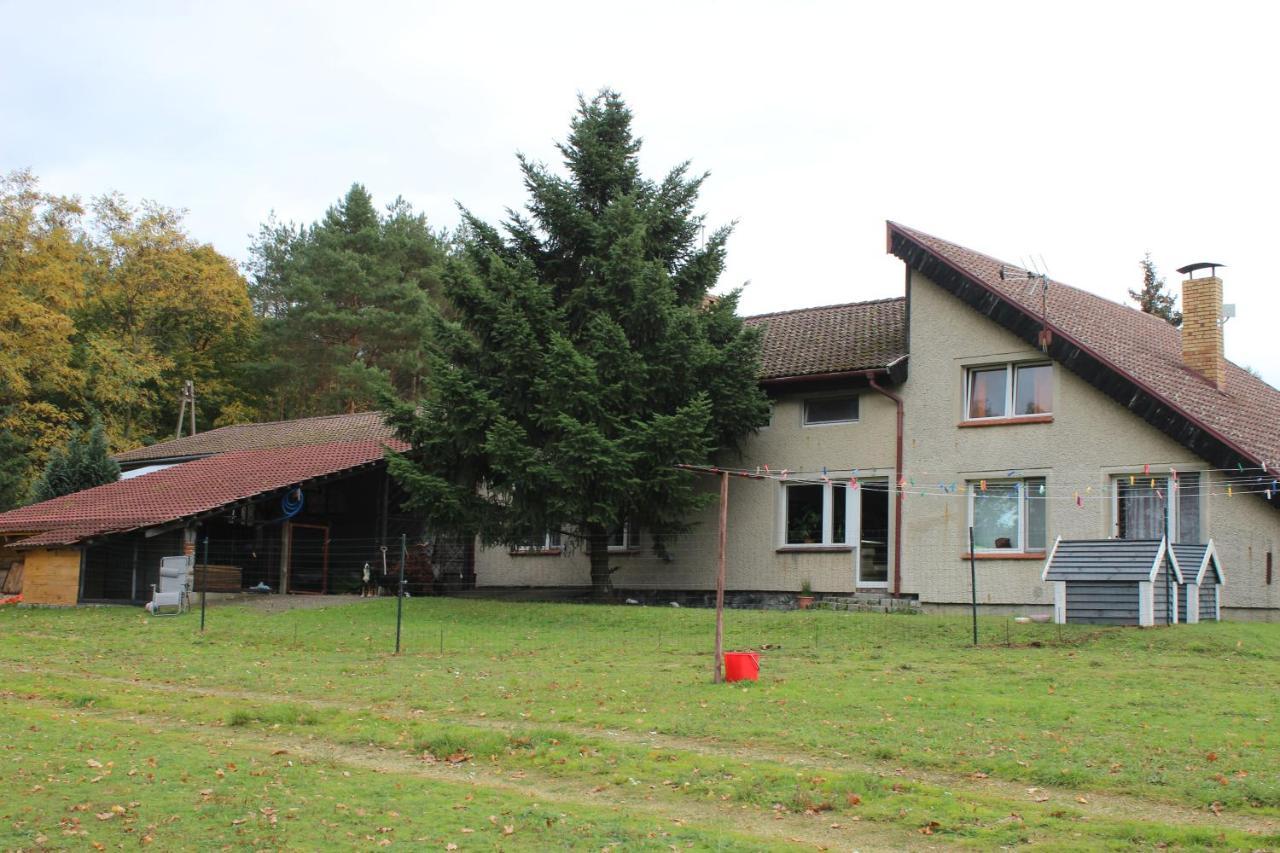 Gospodarstwo Agroturystyczne Agroletnica Świdnica Zewnętrze zdjęcie