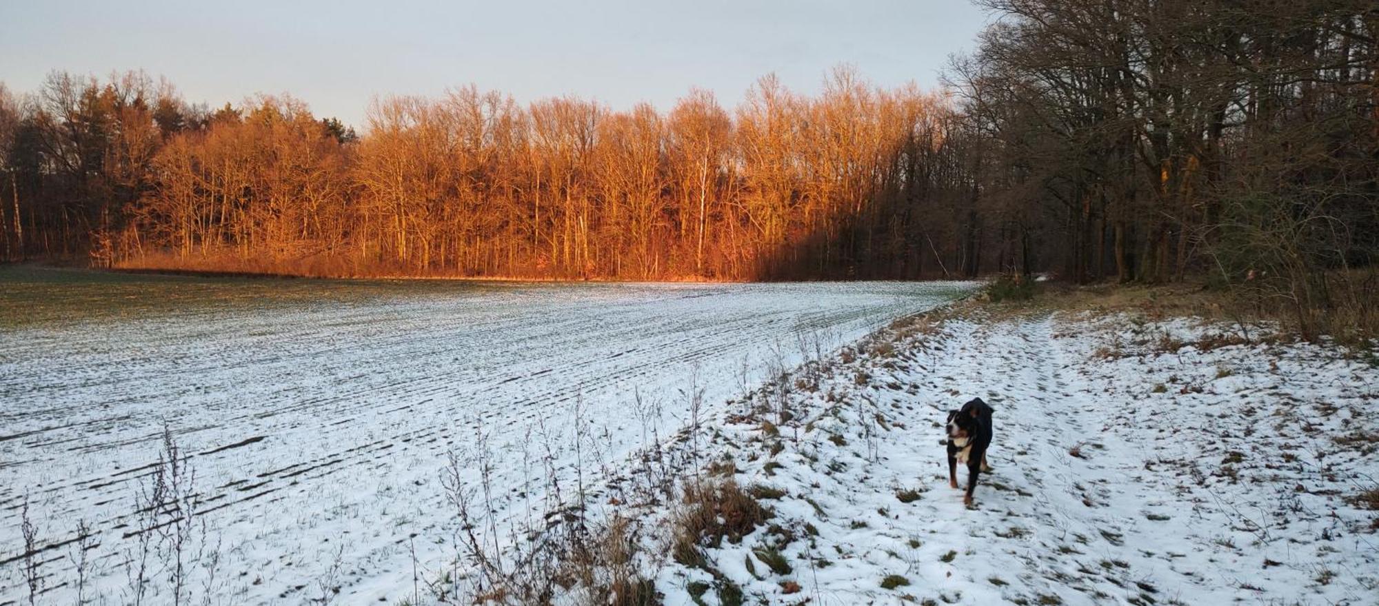 Gospodarstwo Agroturystyczne Agroletnica Świdnica Zewnętrze zdjęcie