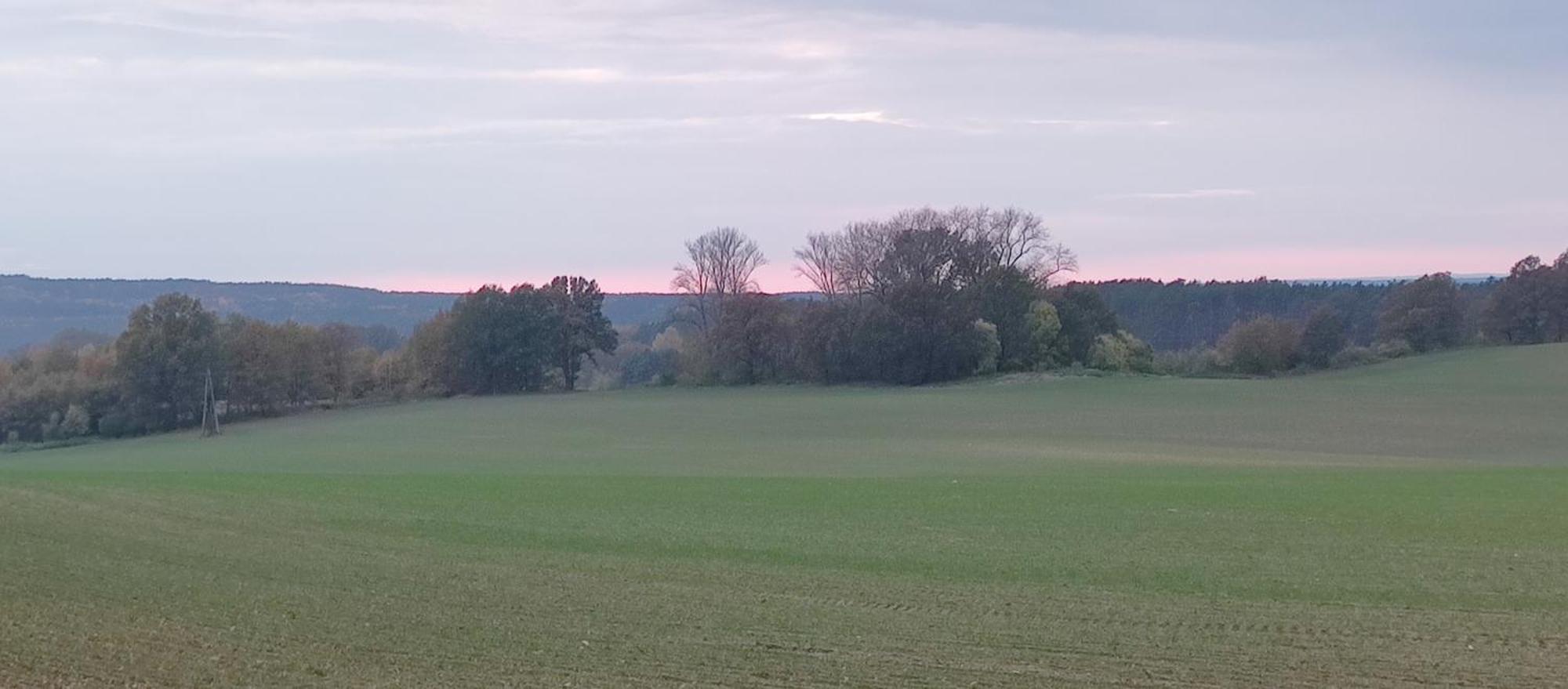 Gospodarstwo Agroturystyczne Agroletnica Świdnica Zewnętrze zdjęcie